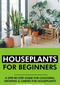 Houseplants for Beginners: A Step-By-Step Guide to Choosing