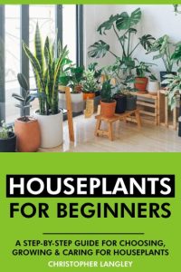Houseplants for Beginners: A Step-By-Step Guide to Choosing
