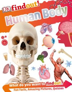 DKfindout! Human Body – DK