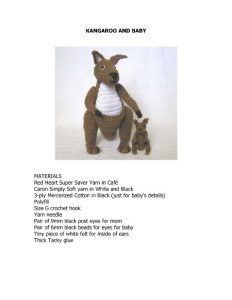 Megan Borgert-Spaniol – Baby Kangaroos