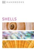 Shells - DK
