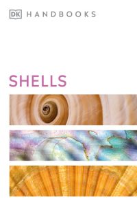 Shells – DK