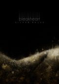 BleakHeart - Silver Pulse (2024)