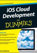Training & Development For Dummies - Elaine Biech