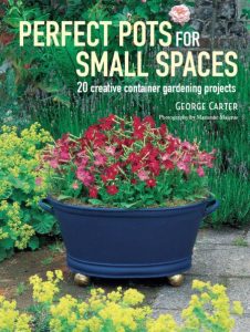 Perfect Pots for Small Spaces: 20 creative container gardening projects – George Carter