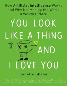 You Look Like a Thing and I Love You: How Artificial Intelligence Works and Why It’s Making the World a Weirder Place – Janelle Shane