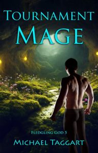 Melee Mage: Fledgling God: book 2 – Michael Taggart