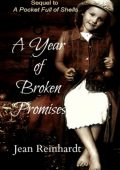 A Year of Broken Promises (Book 2 - An Irish Family Saga) - Jean Reinhardt