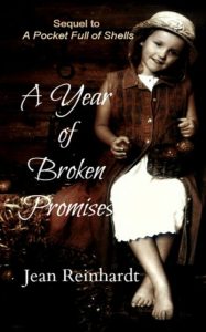 A Year of Broken Promises (Book 2 – An Irish Family Saga) – Jean Reinhardt