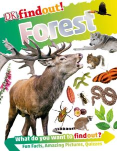 DK – DKfindout! Forest