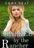 Stalked by the Gamer - Emma BRay