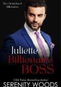 Serenity Woods - The Perfect Gift: A Christmas Billionaire Sexy Romance