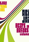 VA - Acid Jazz Beats & Breaks [Vol. 2] (2024) MP3 & FLAC