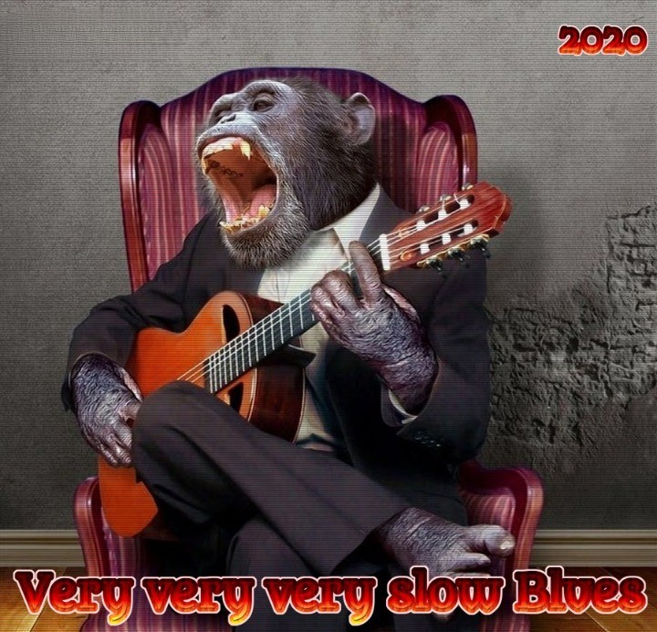 Various Artists – Very Very Very Slow Blues (2020) MP3