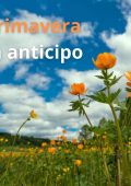 Various Artists - Primavera in anticipo (2024)