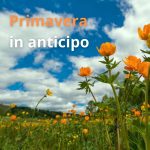 img Various Artists - Primavera in anticipo (2024)