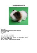 Dorothy Yamamoto - Guinea Pig