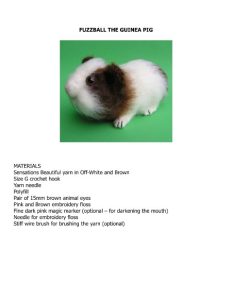 Dorothy Yamamoto – Guinea Pig