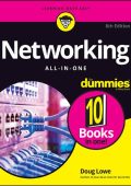 NetWorking All-in-One For Dummies - Doug Lowe