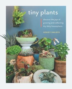Tiny Plants: Discover the joys of growing and collecting itty-bitty houseplants – Leslie F. Halleck