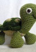 Dr. MC - Baby Turtle Searches for the Sun