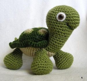 Dr. MC – Baby Turtle Searches for the Sun