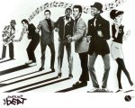 The (English) Beat – Discography (1980-2012) [FLAC+DVD]