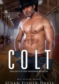 Jake Men of Clifton, Montana Book 1 - Susan Fisher-Davis