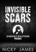 Redemption Manual 5.0 - Book 4: Operating Invisible - Sovereign Filing Solutions