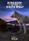 img Il regno del lupo bianco - Stagione 1 (2019) [Completa] DLMux 1080p E-AC3+AC3 ITA