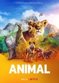 img Animal: il meraviglioso regno animale - Stagione 2 (2022) [Completa] DLMux 1080p E-AC3+AC3 ITA 