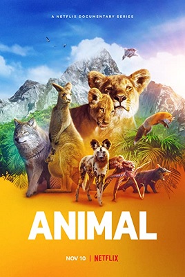 Animal: il meraviglioso regno animale – Stagione 2 (2022) [Completa] DLMux 1080p E-AC3+AC3 ITA ENG SUBS