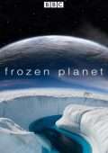 img Il pianeta di ghiaccio - Stagione 1 (2020) [Completa] DLMux 1080p E-AC3+AC3 ITA