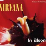 img Nirvana - In Bloom (1995)