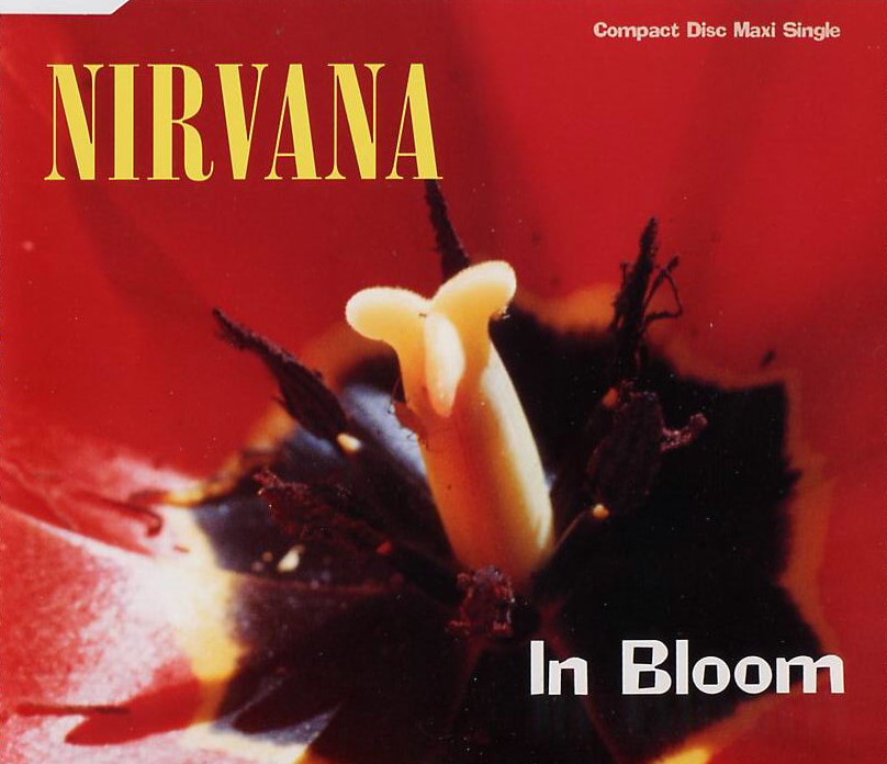 Nirvana – In Bloom (1995)