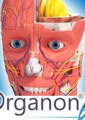3D Organon Anatomy v3.0.0 - Eng