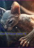 VA - Collection Of House Styles 14 (2024) MP3