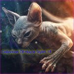 VA – Collection Of House Styles 14 (2024) MP3