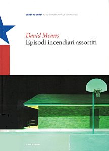 David Means – Episodi incendiari assortiti (2013)