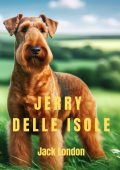 Jack London - Jerry delle isole (2024)