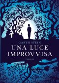 Garth Stein - Una luce improvvisa (2015)