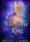 My Wild Horse King - Bridget E. Baker
