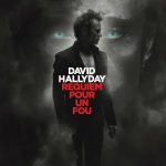 img David Hallyday - Requiem pour un fou (2024)