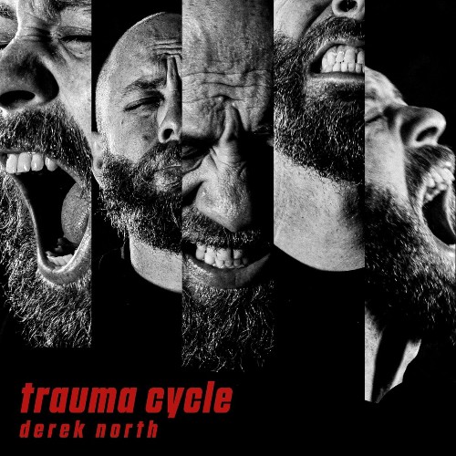Derek North – Trauma Cycle (2024)