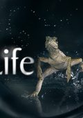 img David Attenborough - Vita - Stagione 1 (2020) [Completa] DLMux 1080p E-AC3+AC3 ITA