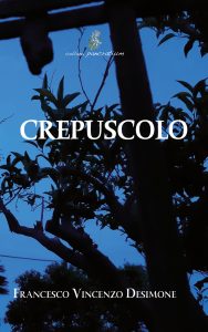 Francesco Vincenzo Desimone – Crepuscolo (2024)