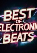 VA - Best of Electronic Beats (2024) [MP3|320]