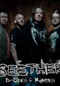 Seether - B-Sides & Rarities (2008)