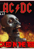 AC DC - Kicked In The Teeth Live (2019-2021) 10CD Box Set mp3