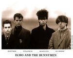 Echo & the Bunnymen – Discography (1980-2019) [FLAC+DVD]